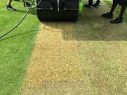 Getting a Professional to Install Your Synthetic Cricket Pitch